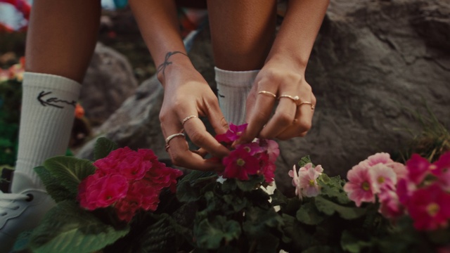 Video Reference: Flower, Plant, Petal, Gesture, Pink, Finger, Flower Arranging, Summer, Nail, Flowering plant
