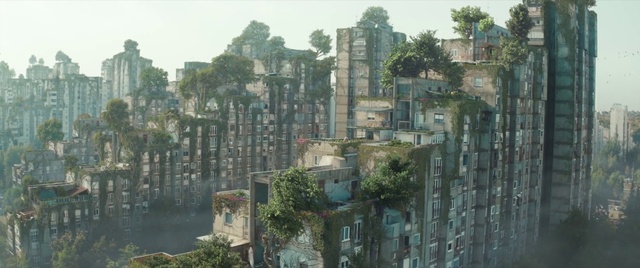 Video Reference: Sky, Building, World, Window, Tower block, Tree, Vegetation, Urban design, Condominium, Neighbourhood