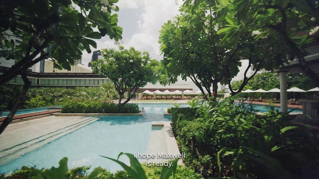 Video Reference: Plant, Water, Sky, Cloud, Tree, Vegetation, Arecales, Shade, Grass, Leisure