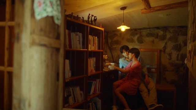 Video Reference: Bookcase, Furniture, Shelf, Picture frame, Shelving, Book, Publication, Wood, Chair, Building