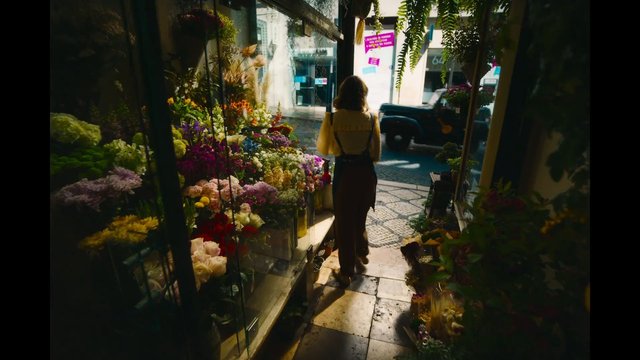 Video Reference: flower shop, bouquets, person, street, sunlight, storefront, flowers, city, standing, back view, window display, interior, urban, plants, market, daytime