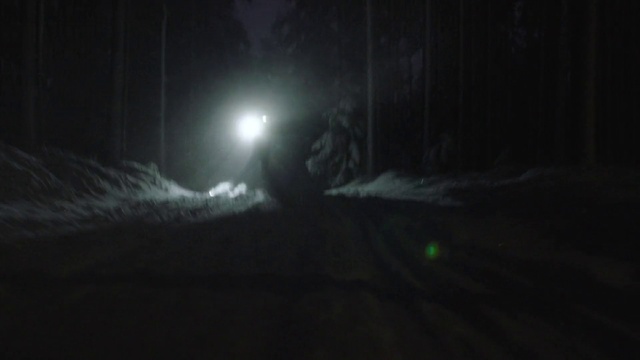 Video Reference: Automotive lighting, Flash photography, Headlamp, Tree, Lens flare, Midnight, Astronomical object, Darkness, Space, Street light