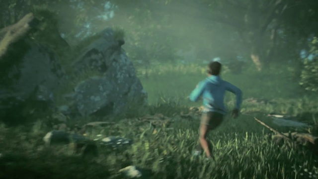 Video Reference: Plant, People in nature, Natural landscape, Atmospheric phenomenon, Terrestrial plant, Grass, Grassland, Landscape, Cg artwork, Meadow