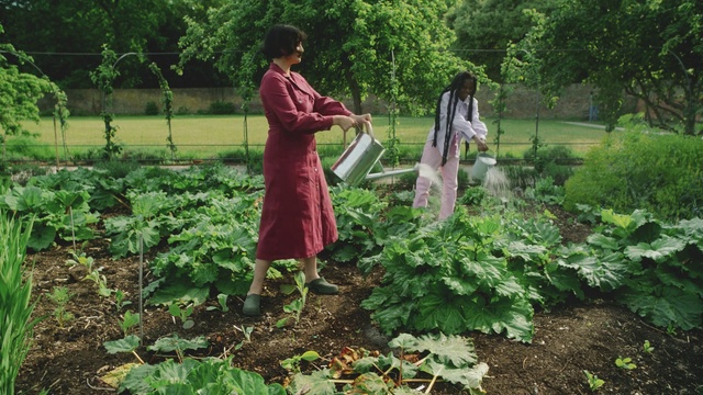 Video Reference: Plant, People in nature, Tree, Vegetation, Grass, Adaptation, Groundcover, Agriculture, Terrestrial plant, Shrub