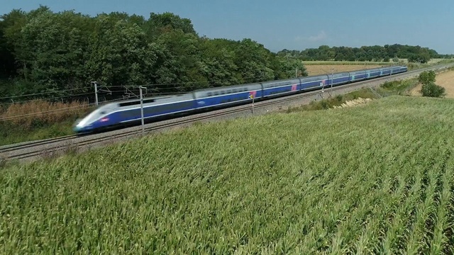 Video Reference: Train, Land vehicle, Vehicle, Plant, Rolling stock, Sky, Tree, Nature, Track, Mode of transport