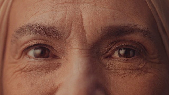 Video Reference: Nose, Brown, Cheek, Skin, Chin, Eyebrow, Eyelash, Jaw, Iris, Wrinkle