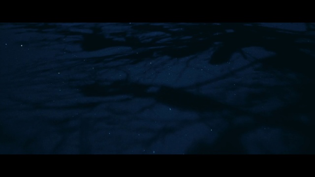 Video Reference: Wood, Road surface, Freezing, Asphalt, Electric blue, Font, Display device, Landscape, Midnight, Windshield