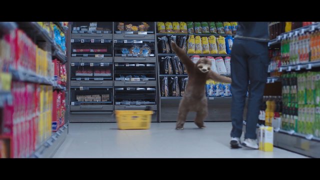 Video Reference: bear, grocery store, aisle, retail, wildlife, indoor, person, packaged goods, shopping, captive animal, supermarket, funny, unexpected, shelves