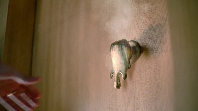 Video Reference: Plant, Wood, Audio equipment, Water, Art, Hardwood, Metal, Macro photography, Sculpture, Shadow