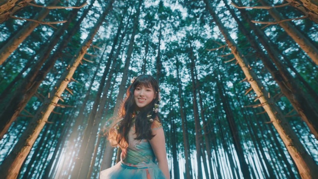 Video Reference: Hair, Sky, People in nature, Plant, Smile, Leaf, Natural environment, Branch, Flash photography, Tree