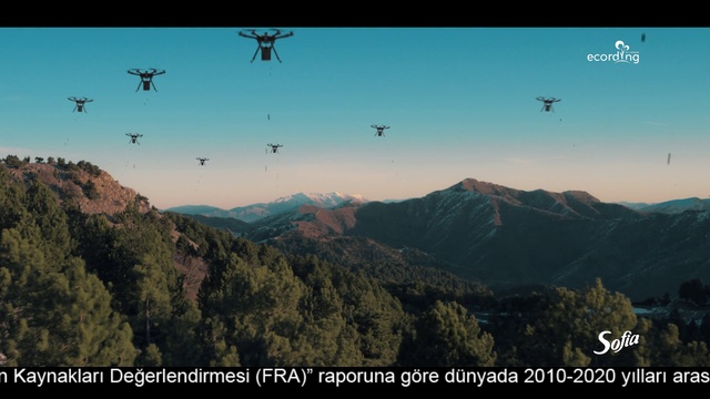 Video Reference: Sky, Plant, Mountain, Highland, Slope, Natural landscape, Biome, Tree, Morning, Landscape