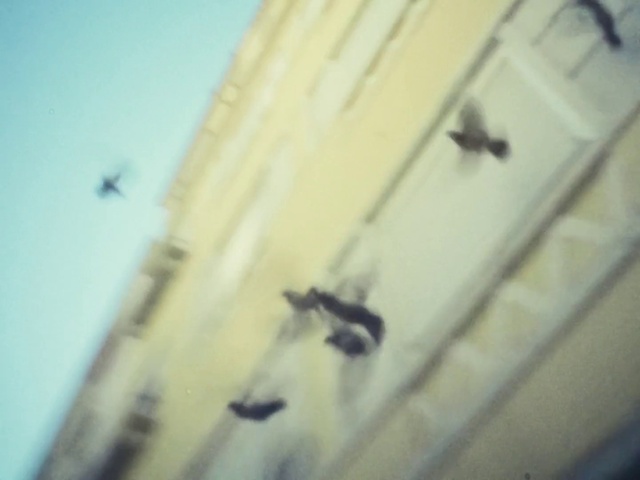 Video Reference: Wood, Tints and shades, Wing, Building, Sky, Pattern, Metal, Ceiling, Hardwood, Facade