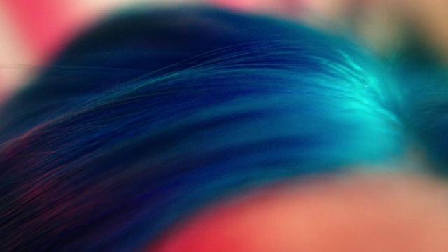 Video Reference: Water, Cloud, Liquid, Sky, Azure, Plant, Purple, Violet, Tints and shades, Magenta