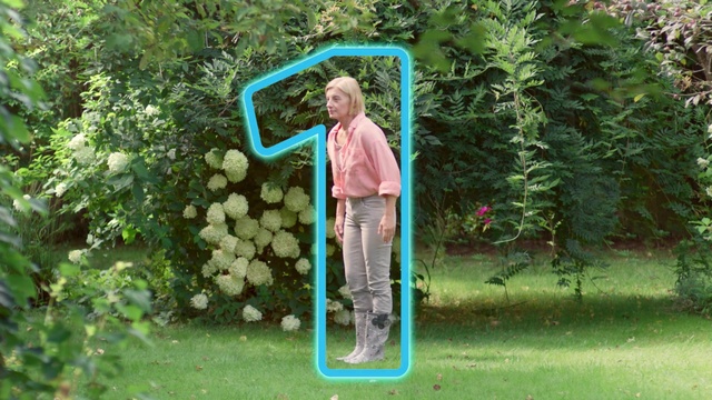 Video Reference: Plant, People in nature, Green, Leaf, Grass, Shrub, Woody plant, Tree, Recreation, Leisure