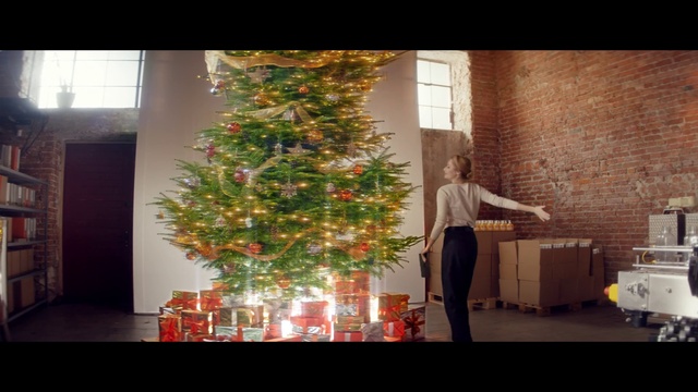 Video Reference: Christmas tree, Plant, Christmas ornament, Branch, Interior design, Holiday ornament, Tree, Christmas decoration, Evergreen, Ornament