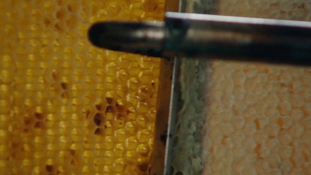 Video Reference: Cuisine, Wood, Metal, Pattern, Electric blue, Macro photography, Steel, Circle, Gloss