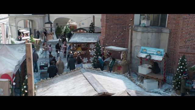 Video Reference: Building, Urban design, House, Wood, Adaptation, City, Travel, Event, Road, Leisure