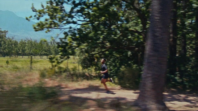 Video Reference: Plant, Shorts, Plant community, Tree, Shade, People in nature, Grass, Landscape, Tints and shades, Asphalt