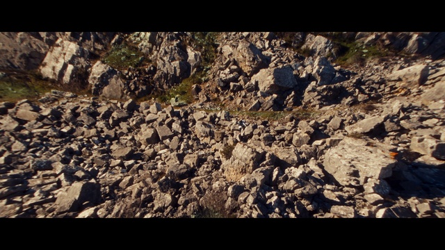 Video Reference: Bedrock, Plant, Geological phenomenon, Formation, Slope, Outcrop, Wood, Landscape, Soil, Mountain