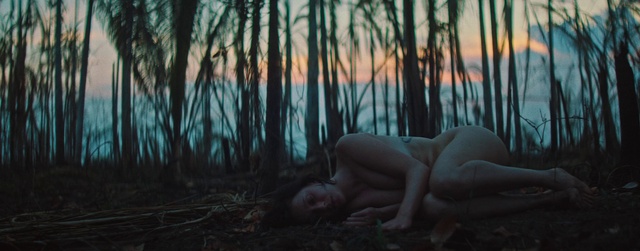 Video Reference: Hand, Atmosphere, Plant, Sky, Window, People in nature, Flash photography, Wood, Branch, Natural landscape
