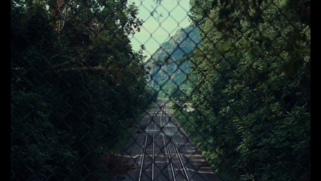 Video Reference: Plant, Nature, Vegetation, Mesh, Atmospheric phenomenon, Biome, Fence, Tree, Forest, Sky