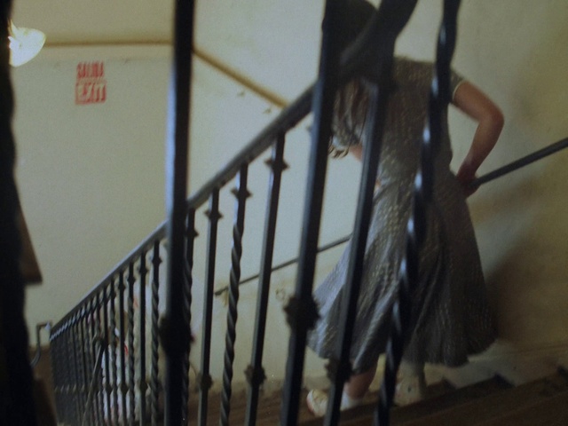 Video Reference: Stairs, Wood, Door, Baluster, Hardwood, Handrail, Metal, Flooring, House, Room