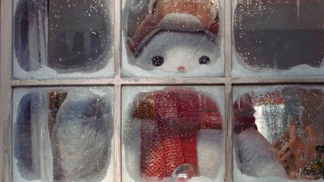 Video Reference: Display case, Window, Glass, Transparent material, Pattern, Art, Carmine, Ingredient, Flesh, Rectangle