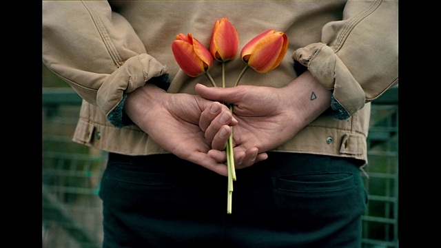 Video Reference: Flower, Hand, Plant, Arm, Human body, Textile, Petal, Dress, Gesture, Finger