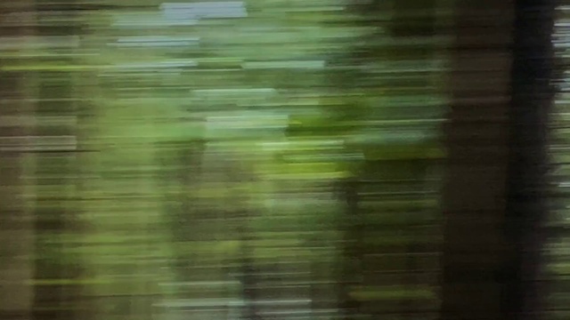 Video Reference: Brown, Water, Tints and shades, Terrestrial plant, Pattern, Grass, Wood, Natural material, Event, Transparent material