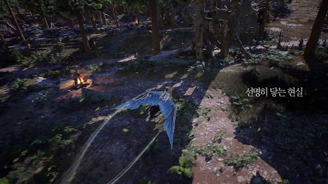 Video Reference: Plant, Natural landscape, Wood, Trunk, Terrestrial plant, Landscape, Geological phenomenon, Forest, Riparian zone, Bedrock