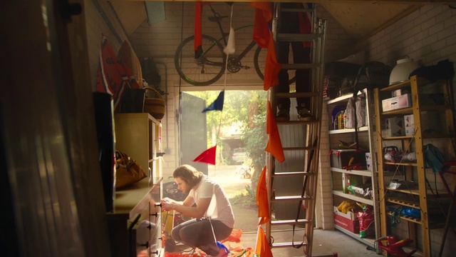 Video Reference: Shelf, Bookcase, Wall, Wood, Shelving, Publication, Window, Flooring, Building, Book