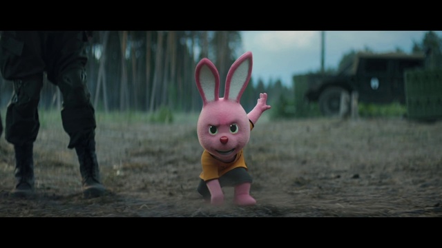 Video Reference: Eye, Plant, Ear, Happy, Pink, Toy, Rabbits and Hares, Fawn, Grass, Rabbit