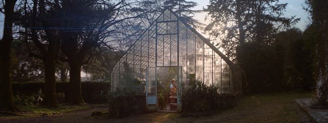 Video Reference: greenhouse, garden, trees, sunset, sunlight, glass building, outdoor, plants, nature, path, doorway, silhouette, rural, afternoon, backlit