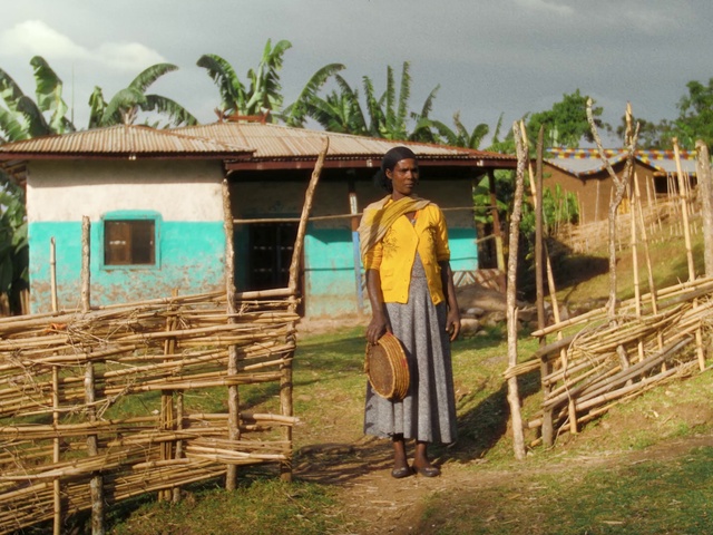 Video Reference: Sky, Cloud, Plant, Temple, Tree, Wood, Adaptation, Leisure, Landscape, Agriculture