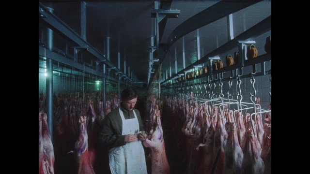 Video Reference: Flash photography, Art, Event, City, Darkness, Glass, Room, Visual arts, Crowd, T-shirt