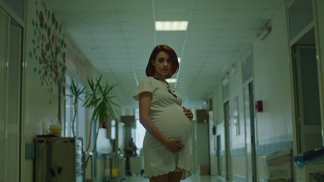 Video Reference: Sleeve, Standing, Plant, Waist, Fashion design, Event, Houseplant, Room, Door, Thigh