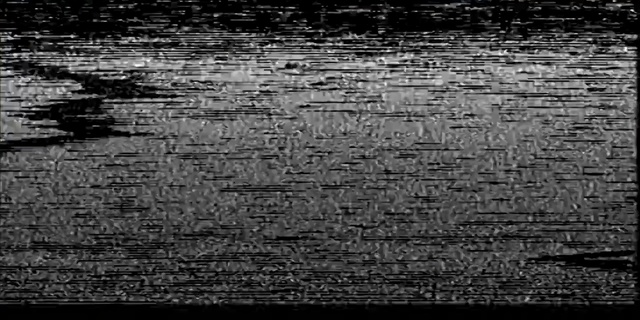 Video Reference: Water, Wood, Grey, Black-and-white, Brick, Rectangle, Flooring, Road surface, Grass, Brickwork