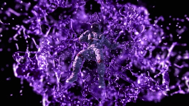 Video Reference: Flower, Water, Plant, Purple, Petal, Violet, Magenta, Terrestrial plant, Electric blue, Flowering plant