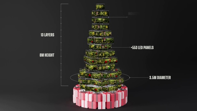 Video Reference: Christmas tree, Rectangle, Christmas decoration, Font, Christmas ornament, Terrestrial plant, Woody plant, Tree, Holiday ornament, Event