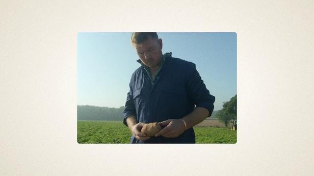 Video Reference: Plant, Arm, Sky, People in nature, Flash photography, Sleeve, Gesture, Happy, Elbow, Travel