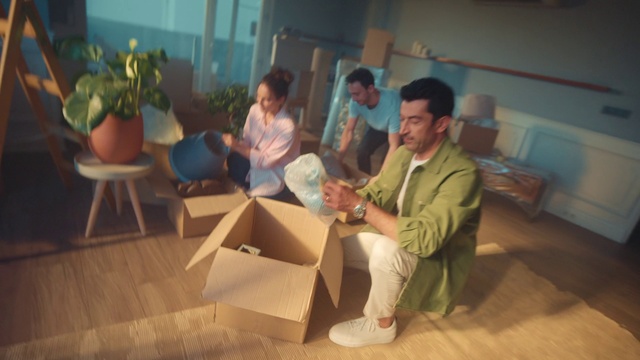 Video Reference: Plant, Wood, Houseplant, Flooring, Comfort, Leisure, Flowerpot, Event, Hardwood, Art