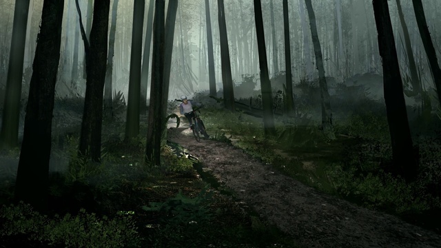 Video Reference: Plant, Ecoregion, Natural landscape, Tree, Branch, Wood, People in nature, Terrestrial plant, Fog, Biome