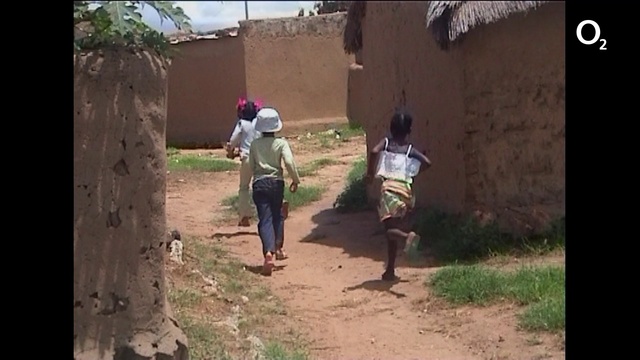 Video Reference: Plant, Rural area, Adaptation, Landscape, Leisure, Tree, Hat, Soil, Road, Grass