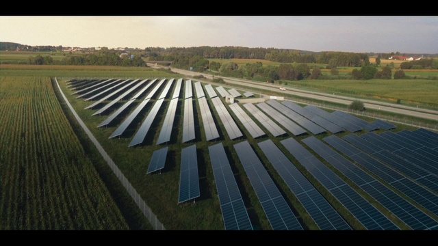 Video Reference: Sky, Water, Plant, Wood, Fluid, Grass, Natural landscape, Landscape, Tree, Composite material