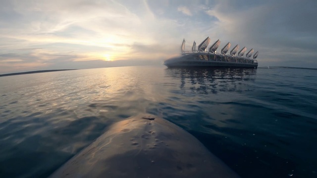 Video Reference: Cloud, Water, Sky, Boat, Vehicle, Sunlight, Dusk, Afterglow, Sunset, Horizon