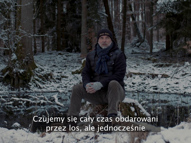 Video Reference: Plant, Snow, Vertebrate, Nature, Tree, Branch, Wood, Natural landscape, Freezing, People in nature