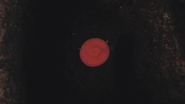 Video Reference: Brown, Sky, Astronomical object, Gas, Tints and shades, Circle, Event, Space, Art, Science