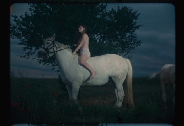 Video Reference: Horse, Window, Plant, Tree, Working animal, Art, Fawn, Painting, Bridle, Horse tack