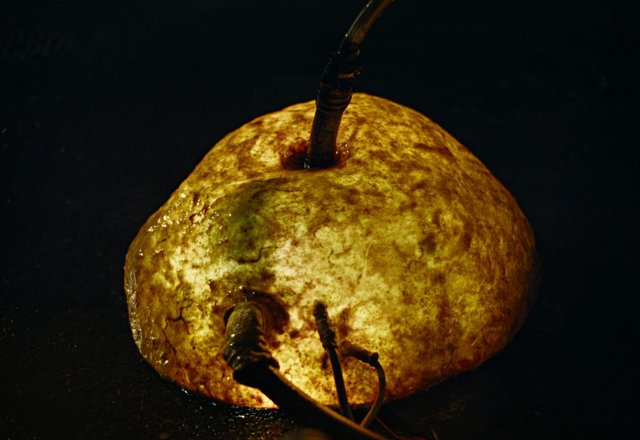 Video Reference: apple, fruit, close-up, macro, wires, cables, dark background, abstract, still life, unusual, damaged, texture