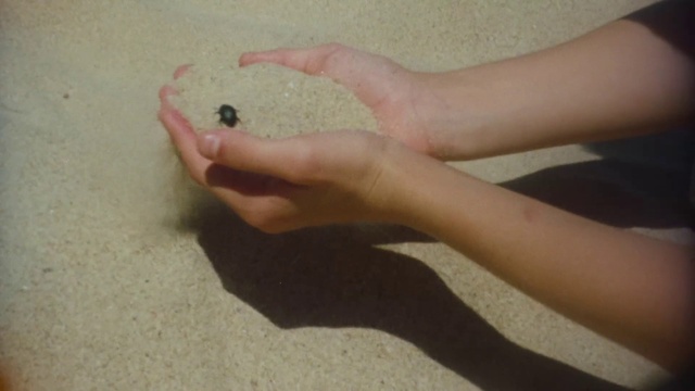 Video Reference: Gesture, Finger, Nail, Wood, Thumb, Foot, Human leg, Wrist, Flooring, Barefoot